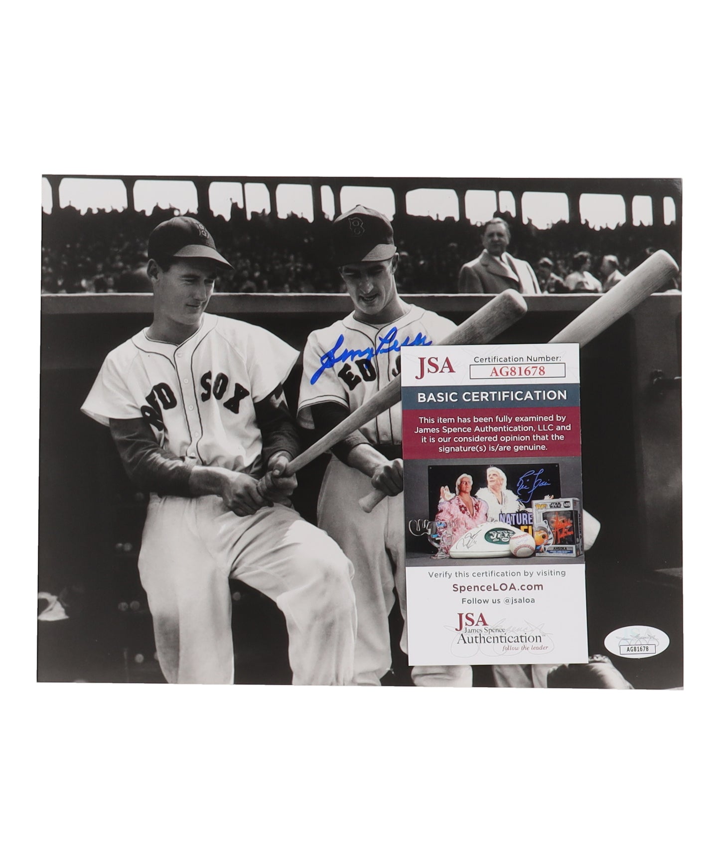 Johnny Pesky Signed Red Sox 8x10 Photo w/Ted Williams (didn't sign) (JSA)