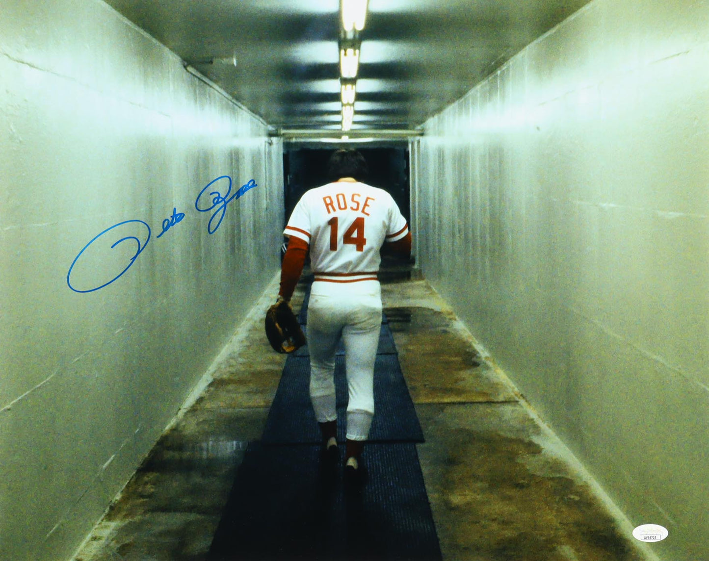 Pete Rose Signed Reds 16x20 Photo (JSA) - Hall