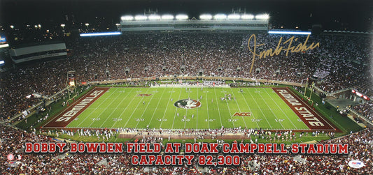 Jimbo Fisher Signed Florida State Seminoles FSU 12x25 Photo (PSA/DNA)